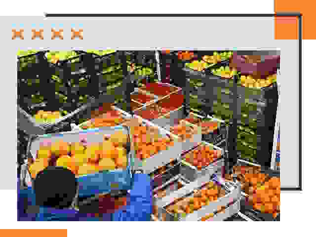 Перевозка скоропортящихся продуктов в Вичуге